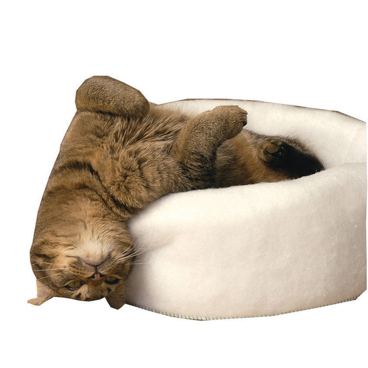 KT Manufacturing Round / Oval Cat Bed & Reviews Wayfair